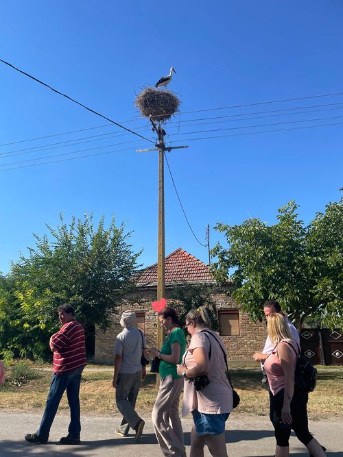 People and white stork