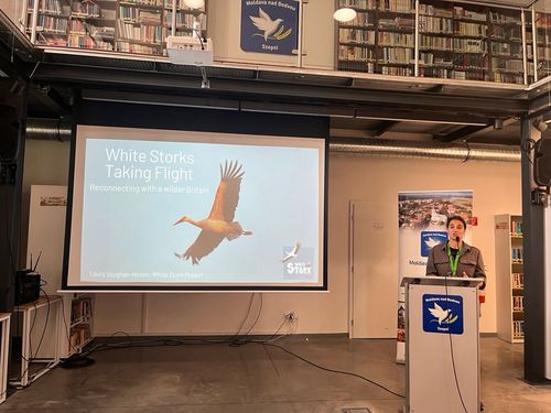 Presentations from the stork villages provided information on the latest developments in European stork protection. © Justine Vansynghel/ EuroNatur Laura Vaughan-Hirsch gives a lecture about Knepp Estate and Storrington