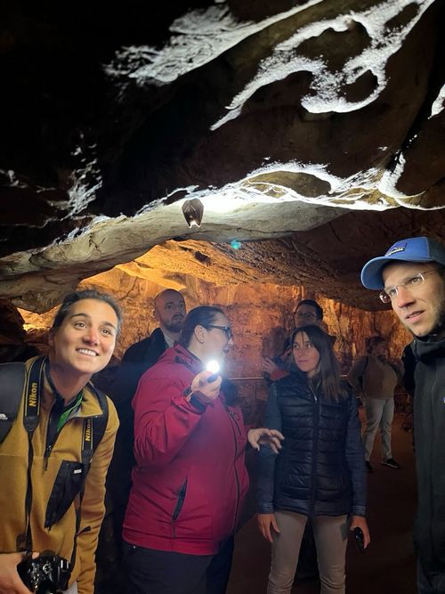 No storks, but bats. One of the excursions also went underground. © Justine Vansynghel/ EuroNatur Stork conservationists observe bats